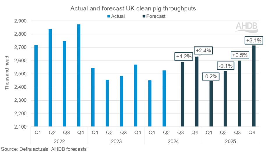 Bar chart showing quarterly clean pig kill numbers